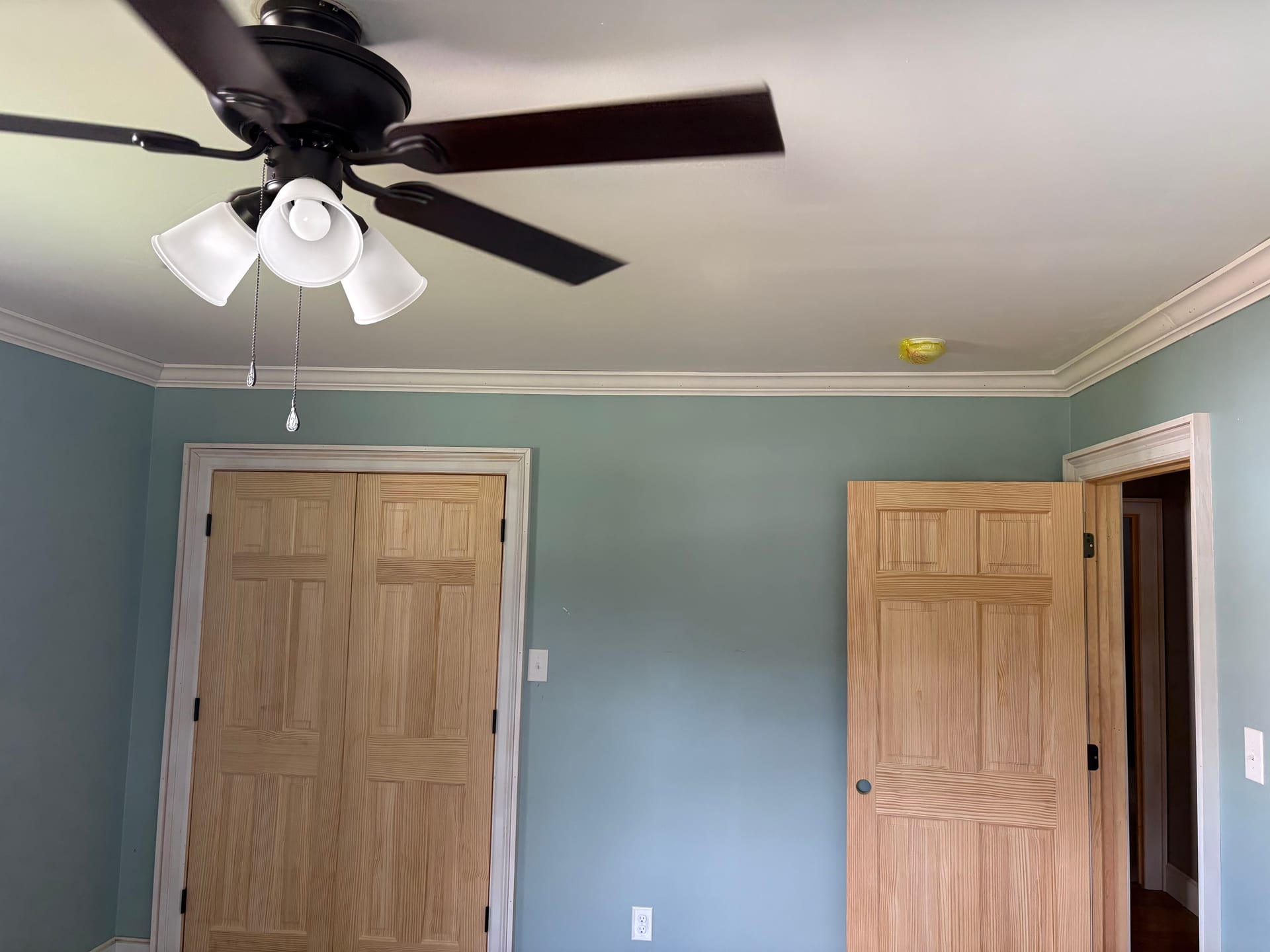 Doors & Trim
