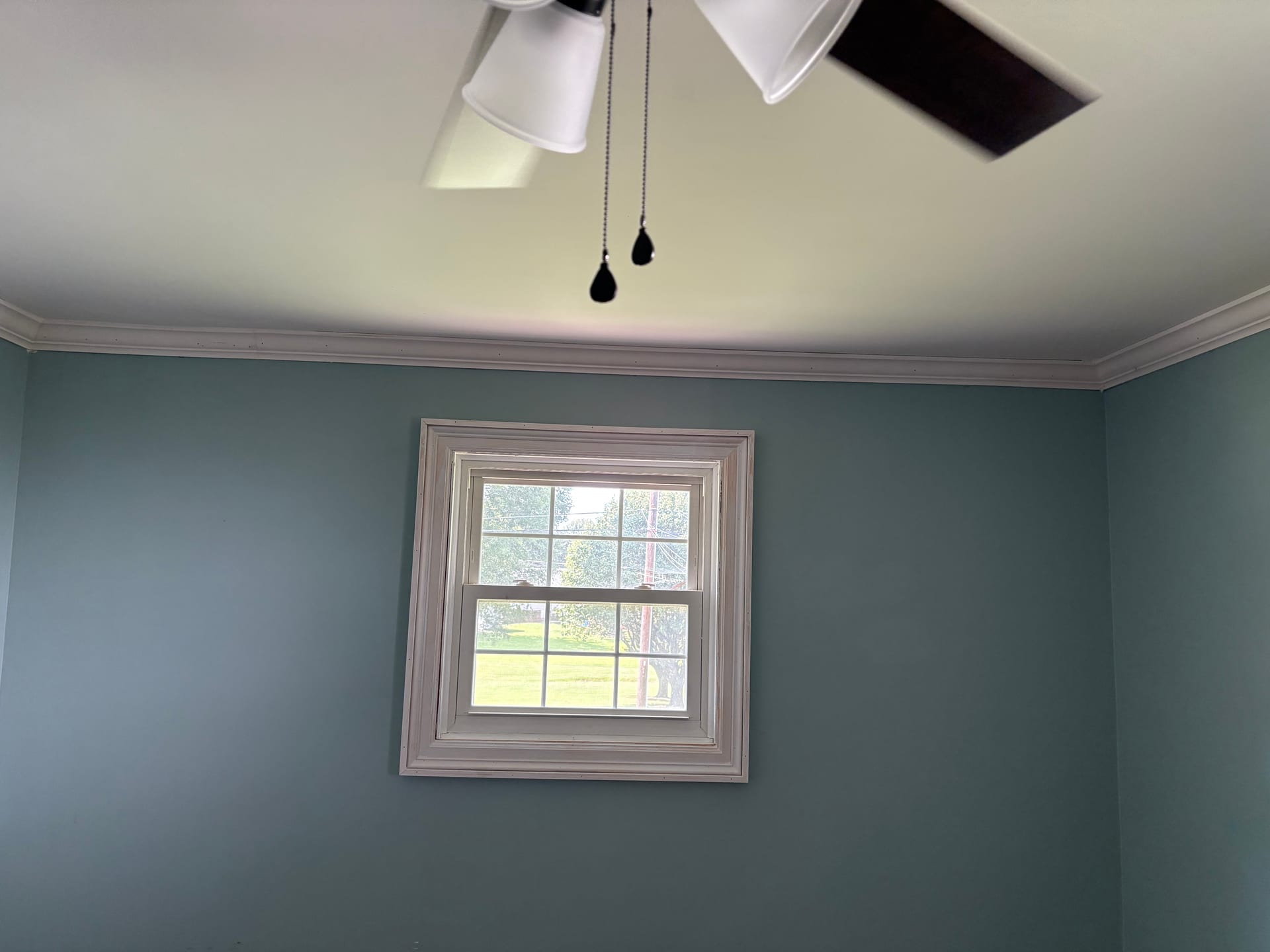Doors & Trim